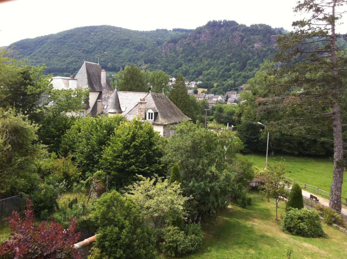 Le Kino Panorama Bed & Breakfast Vic-sur-Cere Exterior photo
