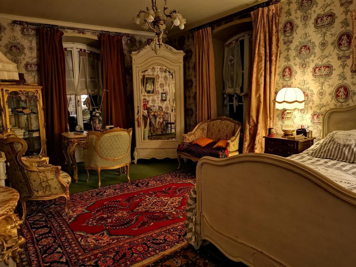 Le Kino Panorama Bed & Breakfast Vic-sur-Cere Exterior photo